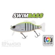 Biwaa SWIMBASS 6