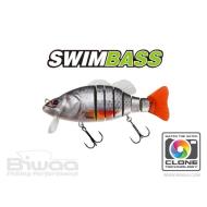 Biwaa SWIMBASS 6