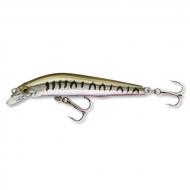 CORMORAN Cor F11 6cm/3g - Striped seed