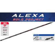 Colmic ALEXA BOLO PROJECT 7M 20GR