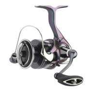 DAIWA Regal LT 5000 D C