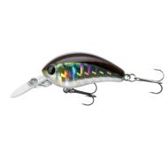 DAIWA Tournament Baby Crank 35F-DR Kibinago