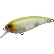 Evergreen BELCANTO 6.3cm 10gr #59 SKELETON CHART