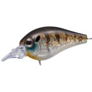 Evergreen PICCOLO DIVE SHALLOW 4cm 6.4gr #246 CHILD GILL