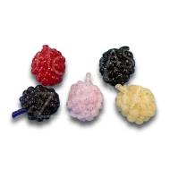 FishUP Berry 0.6