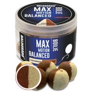 HALDORÁDÓ Max Motion boilie balanced 20mm - kókusz - tigrismogyoró