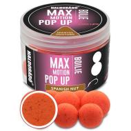 HALDORÁDÓ Max Motion boilie pop up 16, 20mm - spanyol mogyoró