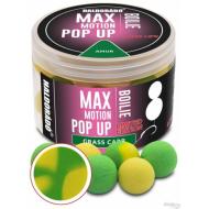 HALDORÁDÓ Max Motion boilie pop up 16 amur