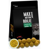 HALDORÁDÓ Max Motion boilie premium soluble 24mm - Champion corn