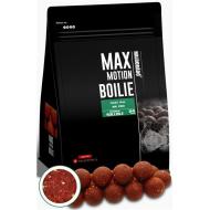 HALDORÁDÓ Max Motion boilie premium soluble 24mm - Nagy hal