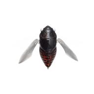 Megabass GRAN SIGLETT 42.5mm 7gr FF KURO AGEHA