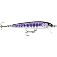 RAPALA Floater Elite 85 6,5g Gilded Iwana FE85GDIW