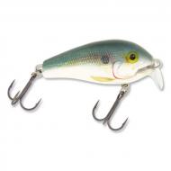 RAPALA SHALLOW FAT RAP 05 Shad- SFR05SD