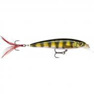 RAPALA X-Rap 8cm/7g Live Perch XR08PEL