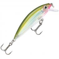 RAPALA X-Rap Countdown 7cm/10g Olive Green XRCD07OG