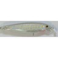 RAPTURE Glassy Bleak N wobbler 70mm/7,7g - Ghost