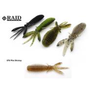 Raid Japan EGUBUG 2.5