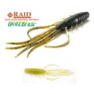 Raid Japan OKA EBI 2.5