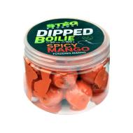 STÉG PRODUCT dipped boilie 20mm spicy mango