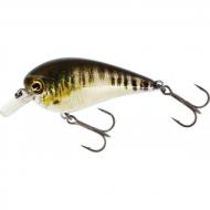 Westin BassBite 1.5 Squarebill 6cm 13g Floating Real Minnow